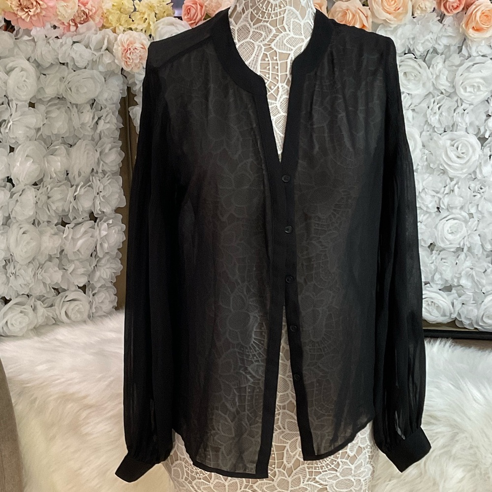 Express Elegant Black Sheer Women's Top